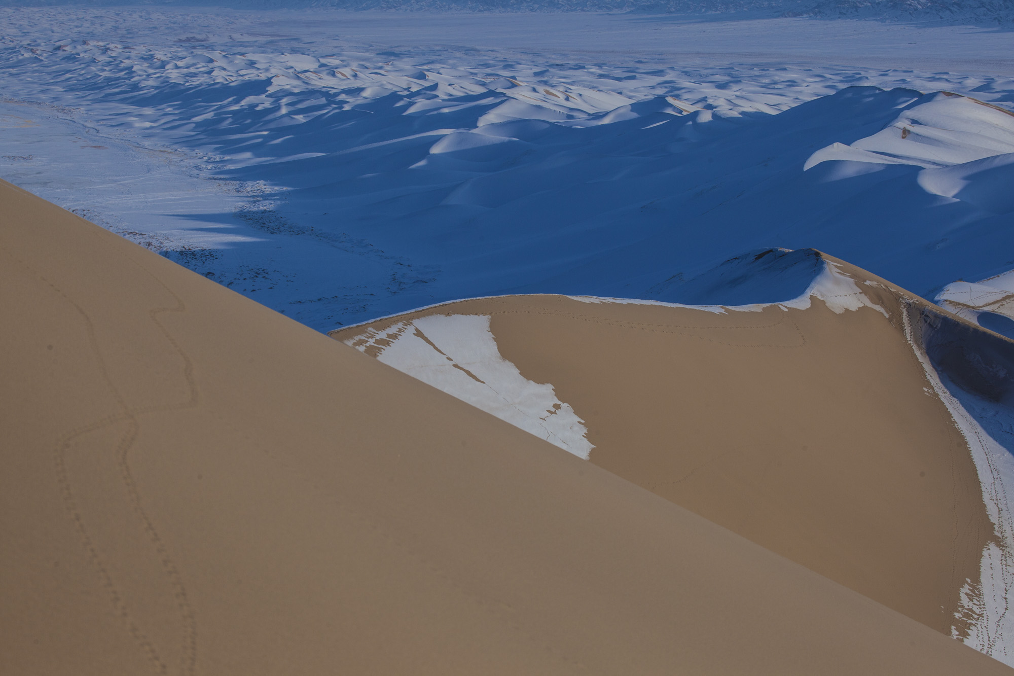 Khongoryn Els, Wüste Gobi, Mongolei